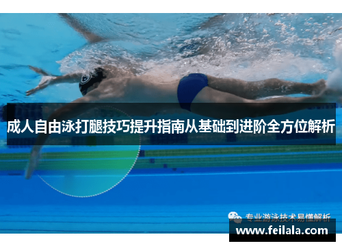 成人自由泳打腿技巧提升指南从基础到进阶全方位解析
