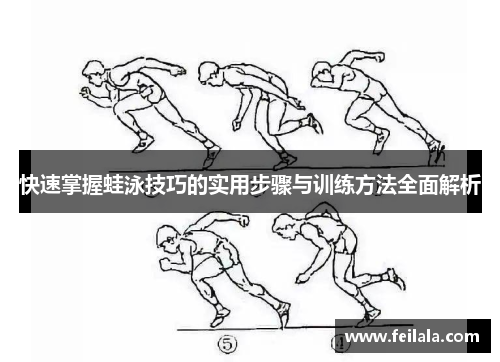 快速掌握蛙泳技巧的实用步骤与训练方法全面解析