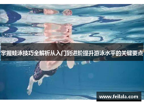 掌握蛙泳技巧全解析从入门到进阶提升游泳水平的关键要点