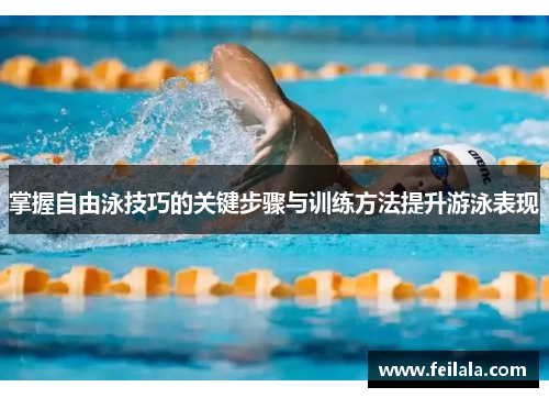 掌握自由泳技巧的关键步骤与训练方法提升游泳表现