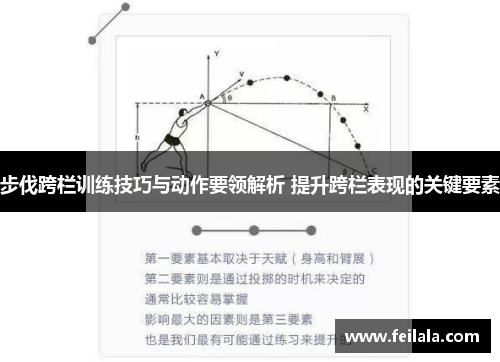 步伐跨栏训练技巧与动作要领解析 提升跨栏表现的关键要素
