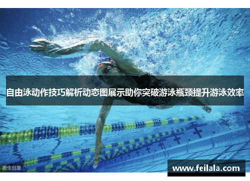 自由泳动作技巧解析动态图展示助你突破游泳瓶颈提升游泳效率