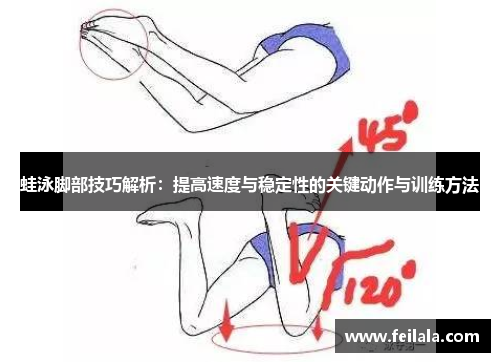 蛙泳脚部技巧解析：提高速度与稳定性的关键动作与训练方法