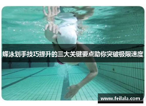 蝶泳划手技巧提升的三大关键要点助你突破极限速度