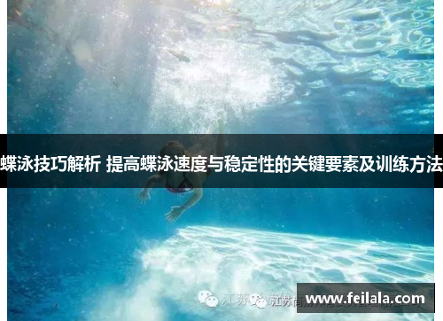 蝶泳技巧解析 提高蝶泳速度与稳定性的关键要素及训练方法
