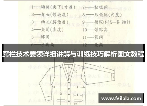 跨栏技术要领详细讲解与训练技巧解析图文教程